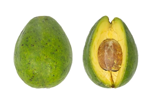 Avocado